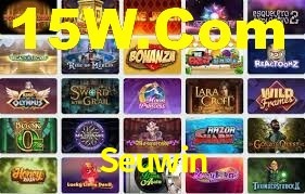 Premium Interface Seuwin